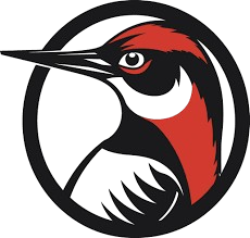 Woodpecker